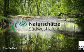Naturschätze Südwestfalen_Foto (c) Tim Seiffert.jpeg