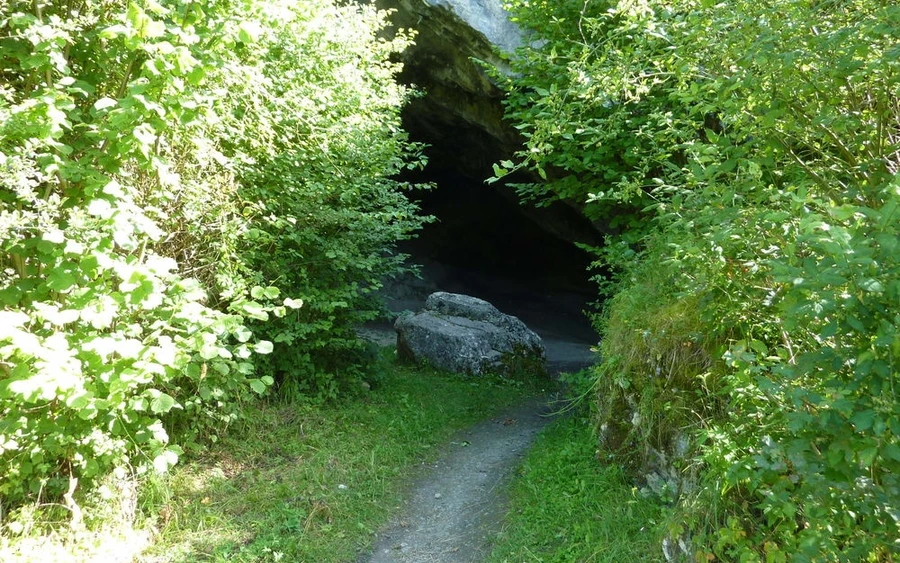 Ein Abri (franz. abri „Unterstand, Schutz, Obdach“