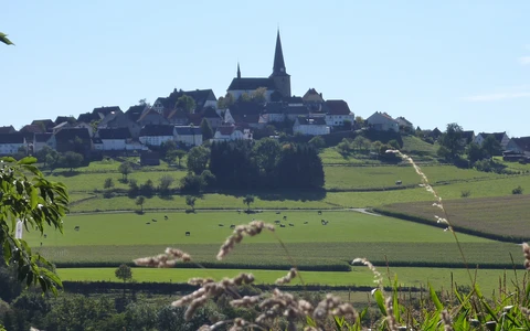 Blick vom Biesenberg auf das Bergdorf Kallenhardt.jpg